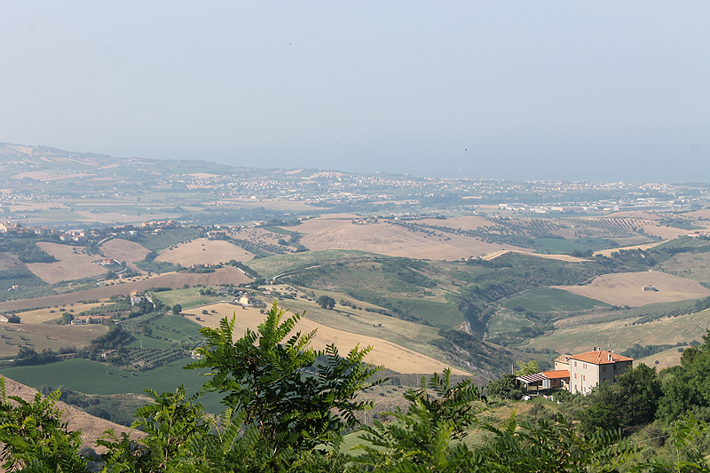 Zwischen der Adria und dem Appenin-Gebirge erstrecken sich die Weinberge der Abruzzen.