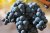 Temperament und Eleganz: Tempranillo Temperament und Eleganz: Tempranillo