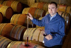Winzergenossenschaft Waldulm