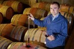 Winzergenossenschaft Waldulm