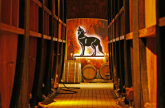 Keller in der Winzergenossenschaft Wolfenweiler mit dem Wolf als ihr Emblem. Foto: PR