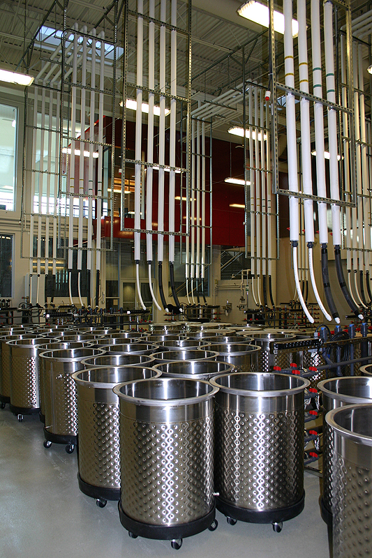 Das Fermentationssystem Cypress Semiconductor kontrolliert z.B. Temperatur, Pumpen und Zuckerkonzentration in 192 Edelstahl-Tanks und überträgt die Daten drahtlos an einen zentralen Computer.