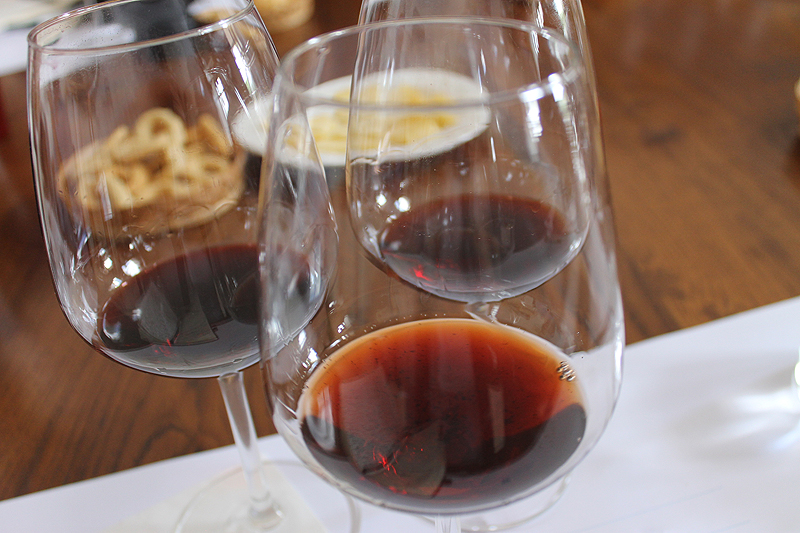 Die schweren Rotweine aus der Rebsorte Negroamaro haben oft ein hohes Alterungspotenzial.