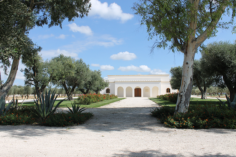 Die neue Kelterhalle der Masseria Altemura.