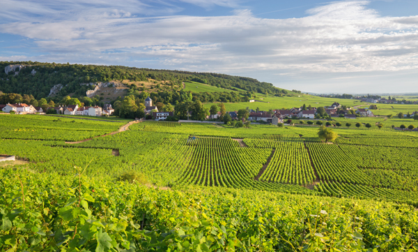 Blick auf die kleine Burgunder Gemeinde Chambolle-Musigny. Foto: Georges Maurice - Adobestock