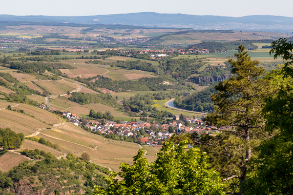 View of Niederhausen, in front a tip of the Hermannshöhle site, in the middle the Klamm site, both classified as 'Grosse Lage'. Photo: Reiner Adobestock