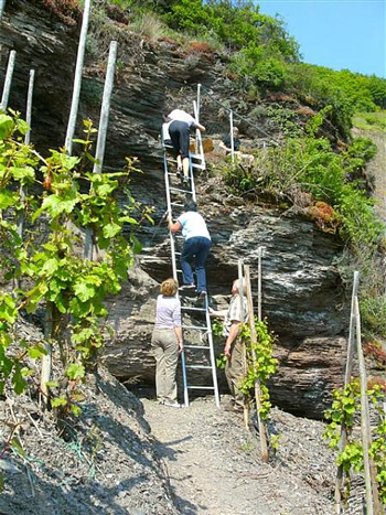 Klettersteig in der Lage Erdener Treppchen. 