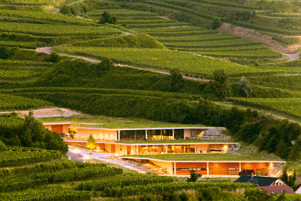 Das in den Berg gebaute Weingut Franz Keller in Vogtsburg-Oberbergen/Kaiserstuhl. Die obere Etage bildet das Restaurant Kellerwirtschaft, wo im Herbst auch gekeltert wird.