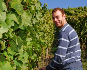Thomas Schenk, Winzerhof Spielberg Otto und Thomas Schenk, Randersacker