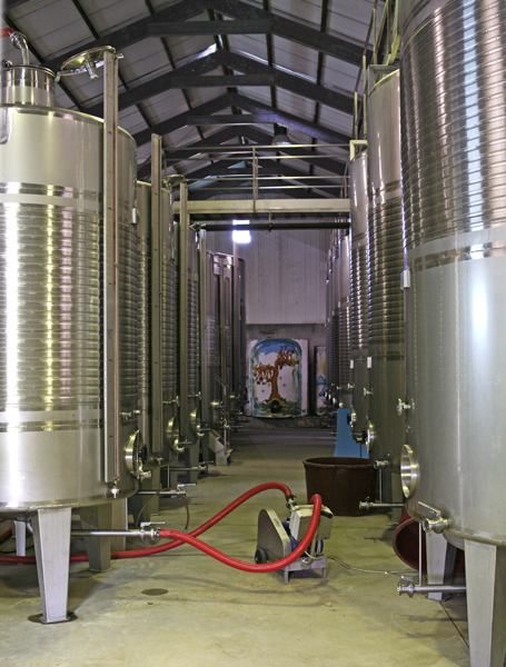 Quinta de Lourosa: Blick in den Keller