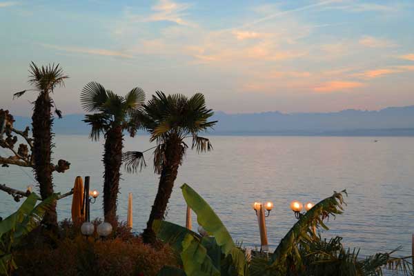 Das milde Bodenseeklima: Ufer bei Meersburg, im Hintergrund die Alpen. Foto: Pixabay