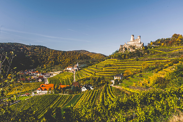 Weingut Nigl - vorne unten mit rotem Dach - unter der Burg Senftenberg - Region Kremstal