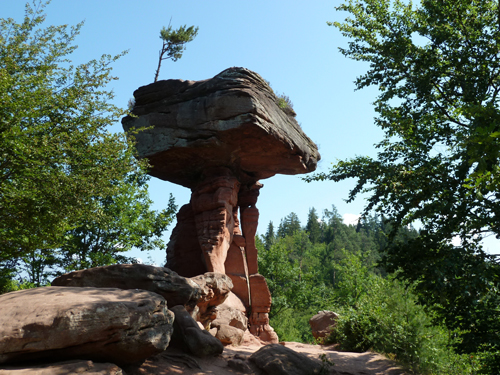 Der Pfälzer Wald mit seinen bizarren Felstürmen. Foto: Pixabay