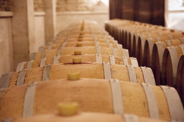 Barrique-Keller im Weingut Purcari. Foto: Stefano Cellai, Adobestock