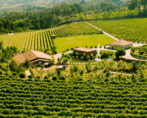 Quinta da Torre - eine geradezu künstlerische Anlage