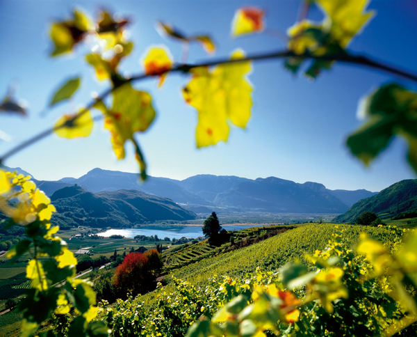 Südtiroler Weinlandschaft mit dem berühmten Kalterer See. Foto: SMG Südtirol Marketing Ges., Clemens Zahn