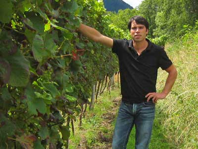 Timo Erlenwein, die junge Generation, verantwortet den Keller und die Weinbereitung.