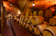 Die Weinmanufaktur Untertürkheim.