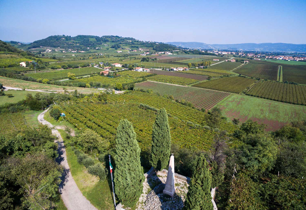 Cantina Vitevis, Blick ins Veneto mit Hang- und Flachlagen