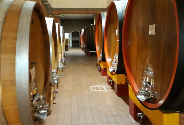 Cantina Vitevis, Holzfasskeller in Gambellara