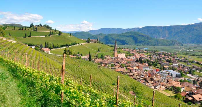 Blick auf den bekannten Weinort Tramin in Südtirol. Foto: Weingut Wilhelm Walch PR