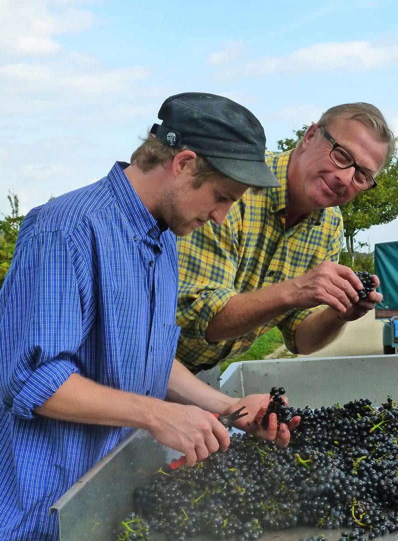 Das Winzerteam Peter und Peter vom Weingut Kühn