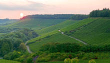 Weinlandschaft der Weingärtner von Stromberg-Zabergäu.