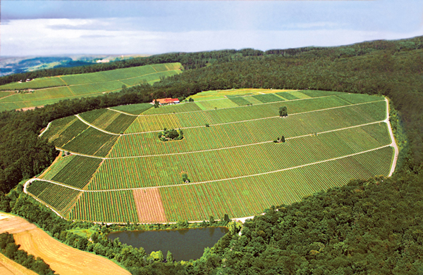Das Weingut Amalienhof hoch auf dem Steinberg bei Beilstein/Württemberg