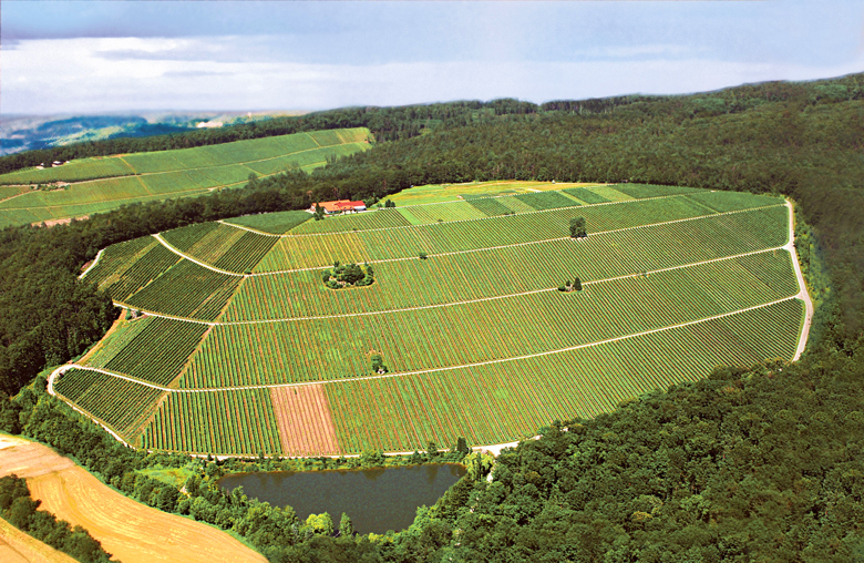 Das Weingut Amalienhof auf der Lage Steinberg in Beilstein/Württemberg