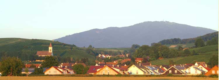 Der südbadische Weinbauort Auggen zu Füßen des Schwarzwalds in Abendstimmung.
