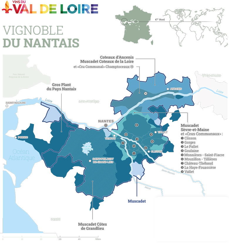 Das Nantais im Loire-Gebiet und seine AOP