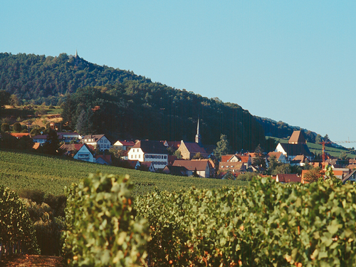 Der Weinort Gleisweiler. Foto: Karheinz Schmeckenbecher, Südliche Weinstrasse e.V.