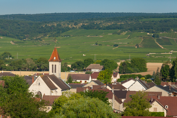 Flagey-Echézeaux im Burgund mit der Grand-Cru-Lage Echézeaux. Foto: BIVB / Aurélien Ibanez