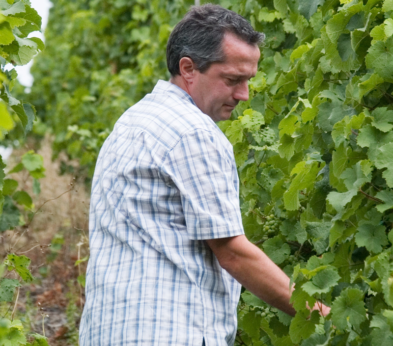 Wolfgang Mertes, Weingut Heinrich Mertes. Foto: www.buntru.de