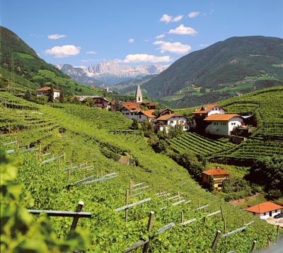Blick auf St. Magdalena bei Bozen.