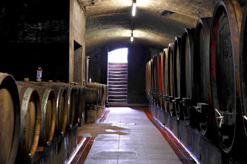 Keller im Gräflich Wolff Metternichschen Weingut.