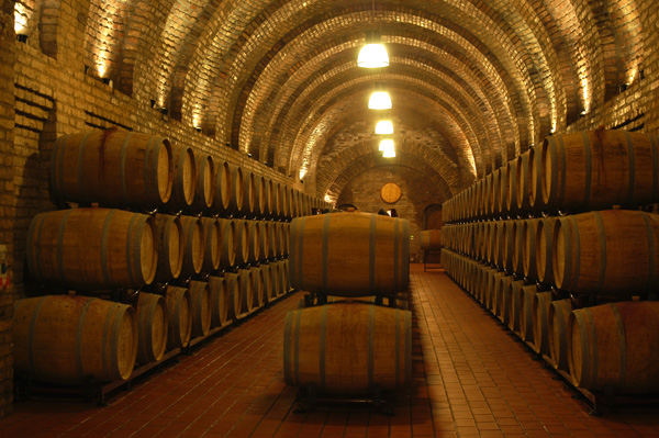 Barrique-Keller für die Reifung der Rotweine