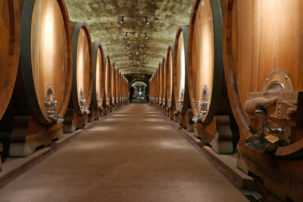 Der beindruckende große Holzfasskeller unter dem Fürstenbau im Weingut Juliusspital