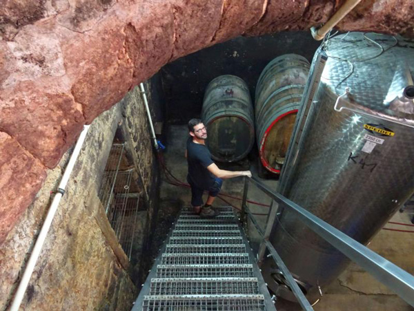 Der tiefe Gewölbekeller im Weingut Klohr, wo die Weine bedächtig reifen.