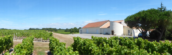 Das Weingut Moulin de la Touche in Bourgneuf -en-Retz / Loire-Gebiet / Nantais