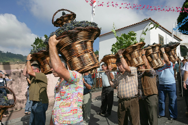 Madeira: Der traditionelle Weinfest-Umszug auf der Estreito de Camara de Lobos. Foto: Associação de Promoção da Madeir