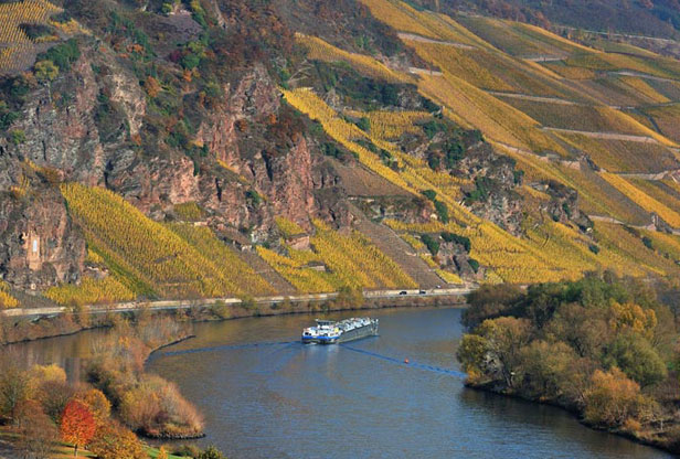 Die Lage Erdener Prälat an der Mosel, in der das Weingut Albert Schwaab ebenfalls Besitzungen hat.