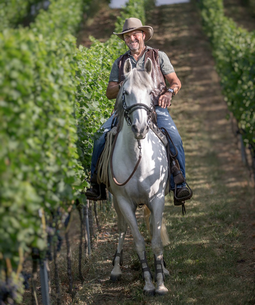 Alois Metz in seinem Weinberg mit seinem Pferd
