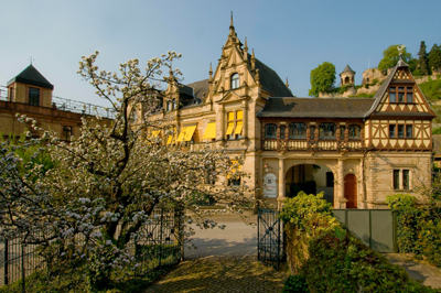 Das Weingut Müller-Catoir in Haardt/Mittelhaardt Deutsche Weinstraße/Pfalz