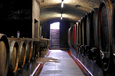  Keller im Weingut Graf Wolff Metternich, Durbach