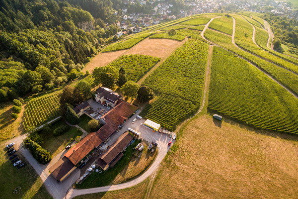 Weingut Nägelsförst hoch über Baden-Baden-Varnhalt. Foto: Marcel Reidock