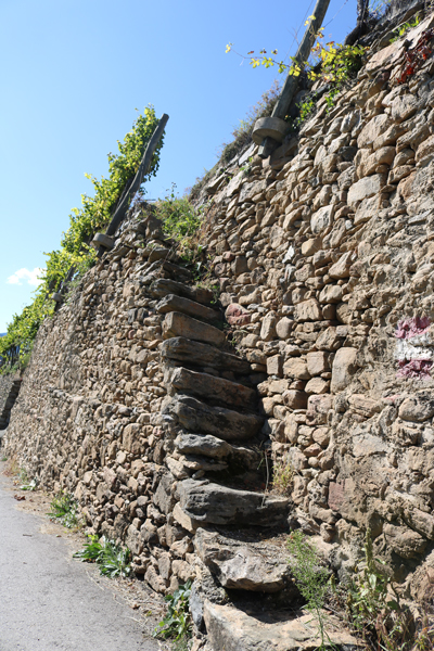Trockensteinmauer in der Weinbergslage Achleiten