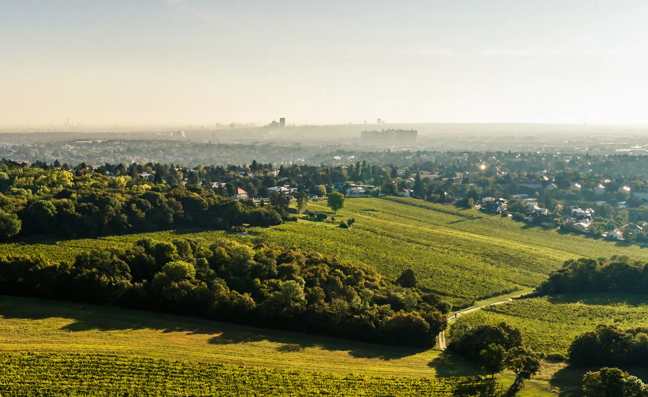 In the middle, the Ried Saetzen on the southern outskirts of Vienna.