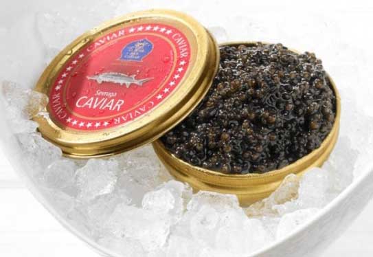 Sevruga-Kaviar, erkennbar an den roten Deckeln. Foto: Sepehr Dad Caviar