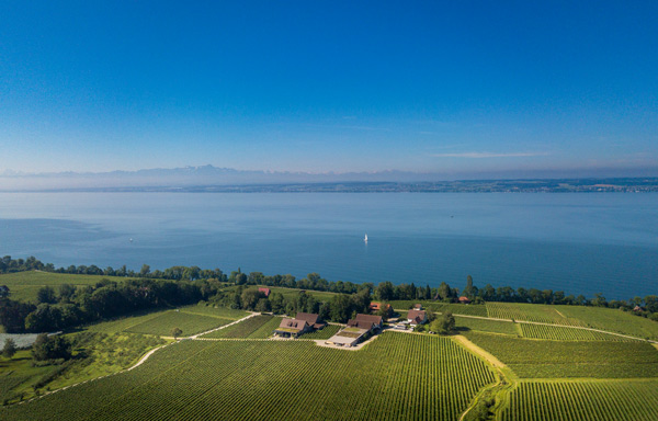Das Weingut Aufricht direkt am Bodensee